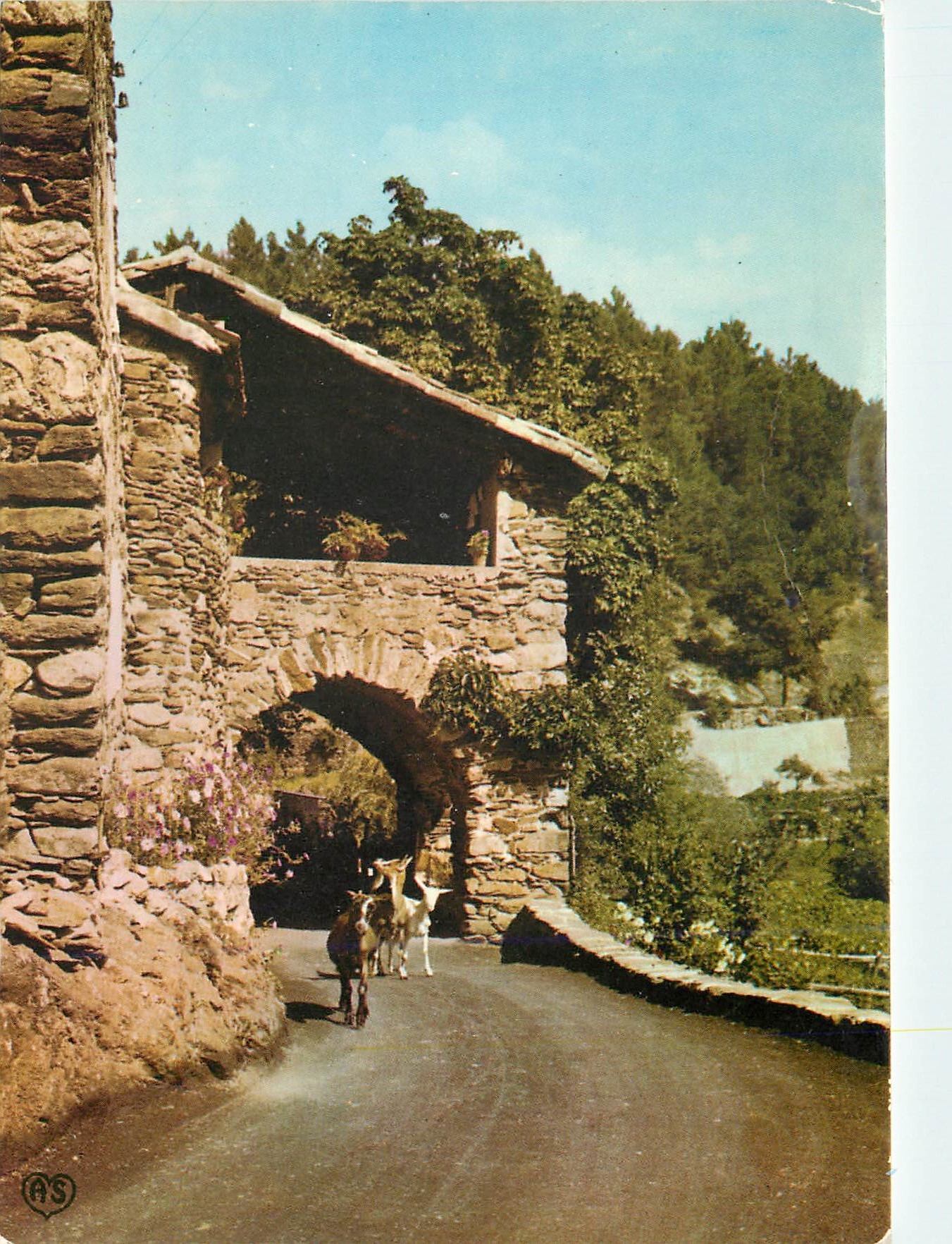 Paysage rural avec chèvres — Les Cévennes — Société des Cartes Postales AFA-POUX - ALBI