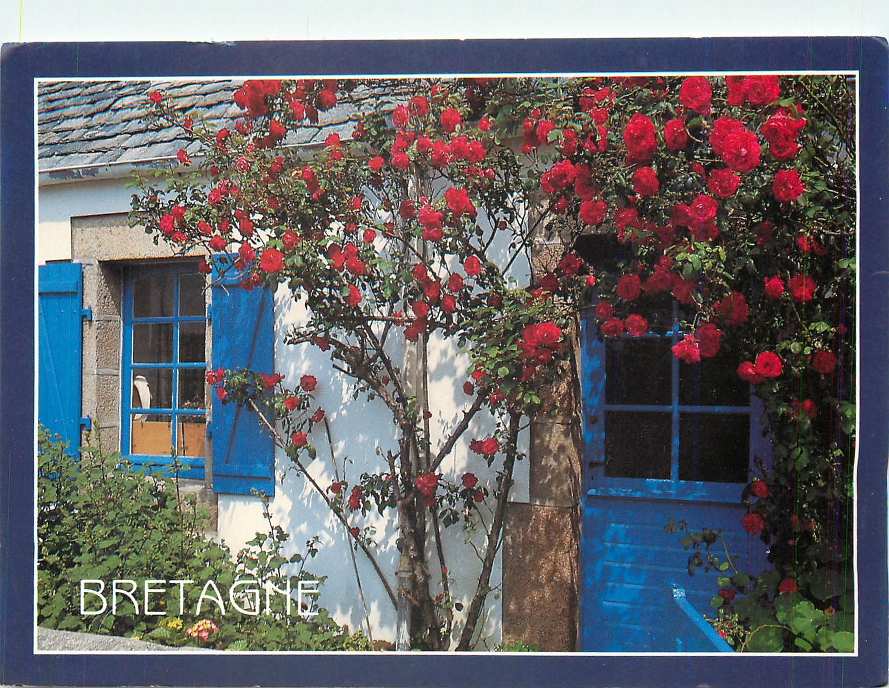 CPM Couleurs de Bretagne la Maison Fleurie