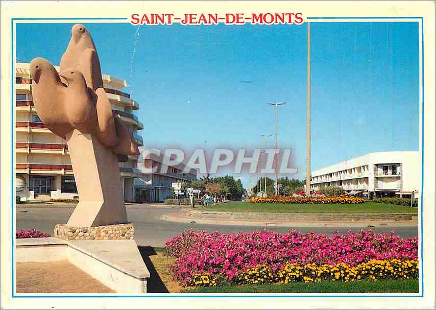 CPM Saint Jean de Monts (Vendee) L'avenue de la Foret et les Oiseaux de la mer