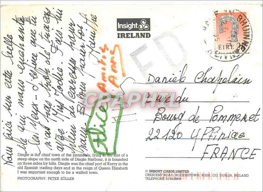 Dingle — port de pêche — Insight Cards Ireland — Verso