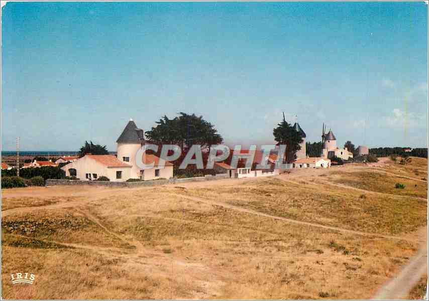 CPM Ile de Noirmoutier les Moulins de la Gueriniere