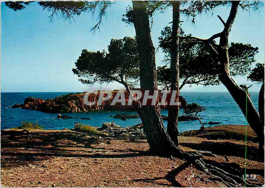 CPM environs de Saint Raphael (Var Dans les calanques de Santa Lucha