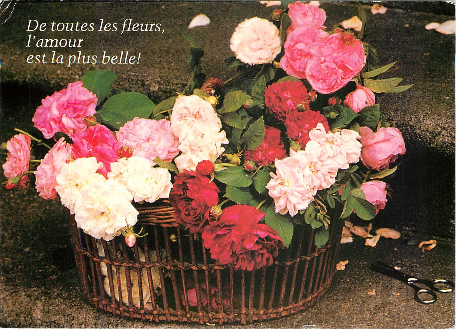 CPM De toutes les fleurs l'amour est la plus belle