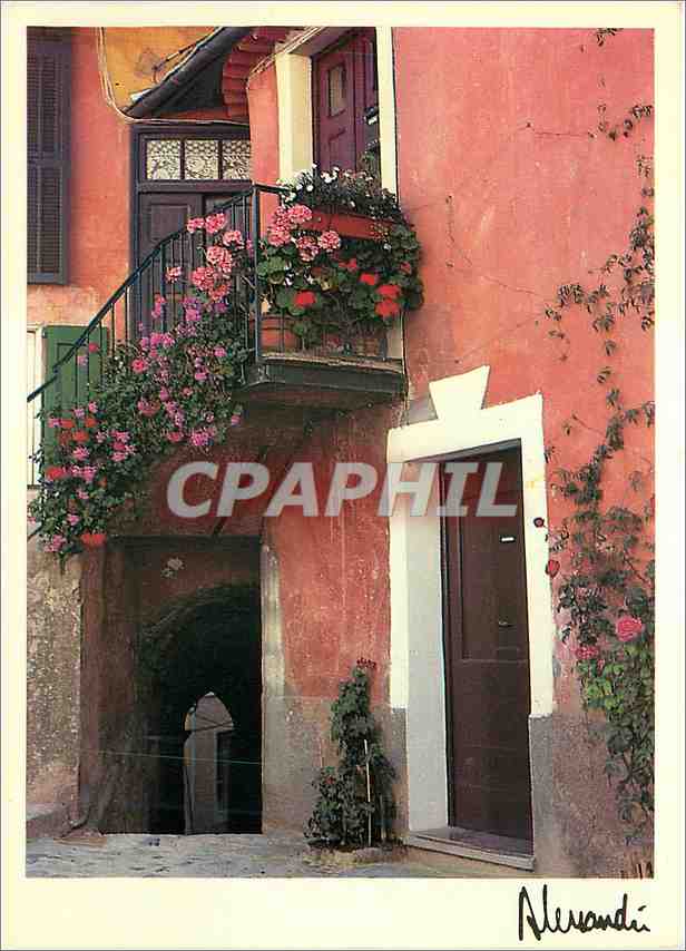 CPM Images Lumieres de Provence Fleurs de balcon
