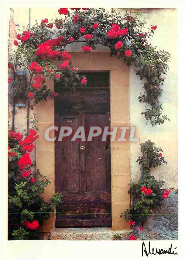 CPM Images Lumieres de Provence Anse rouge