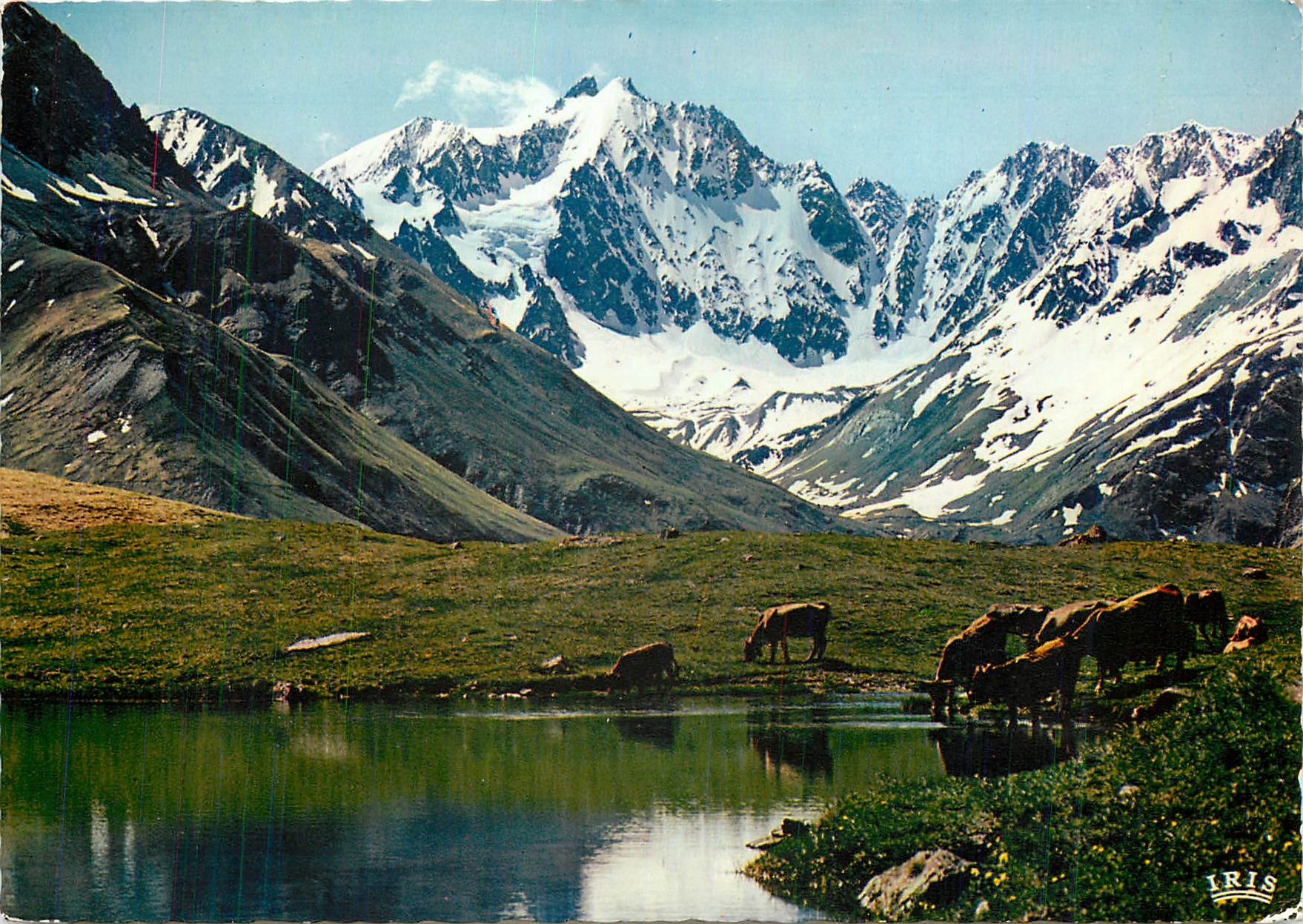 Les Agneauaux — Lac du Pontet — IRIS