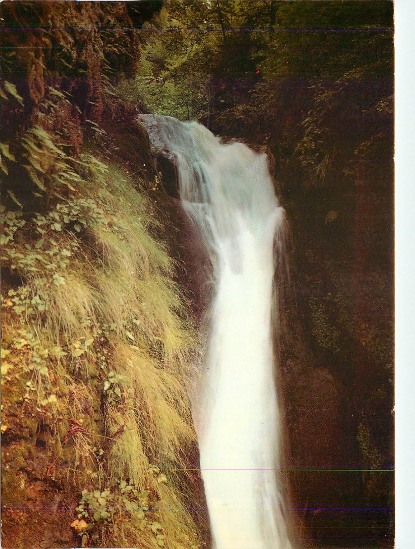 CPM L'Auvergne touristique Cascade du Plat a Barbe entre la Bourboule et le MOnt Dore