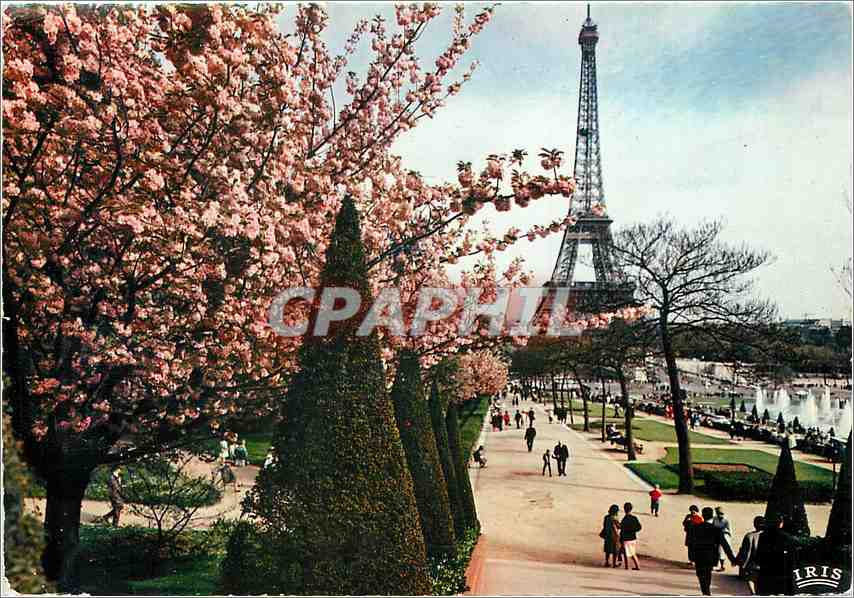 CPM Paris la Tour eiffel