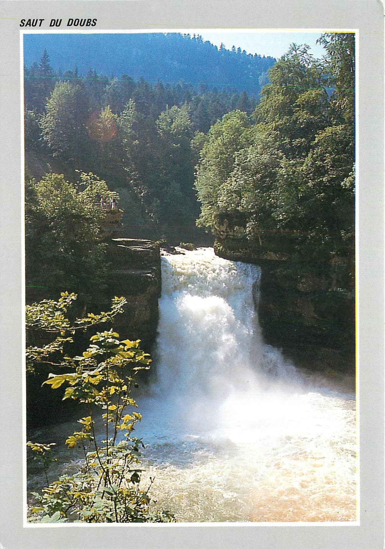 CPM Paysages du Haut Doubs le Saut du Doubs