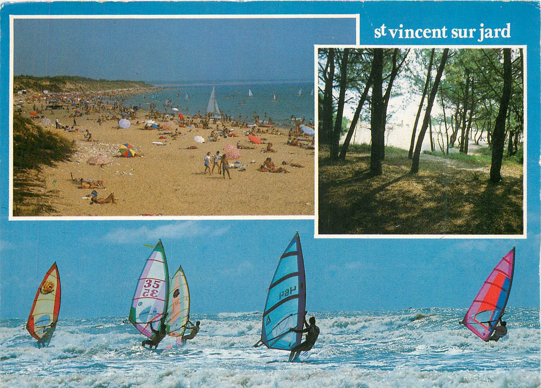 CPM La Vendee Touristique Saint Vincent sur Jard La Plage la foret Planche a voile