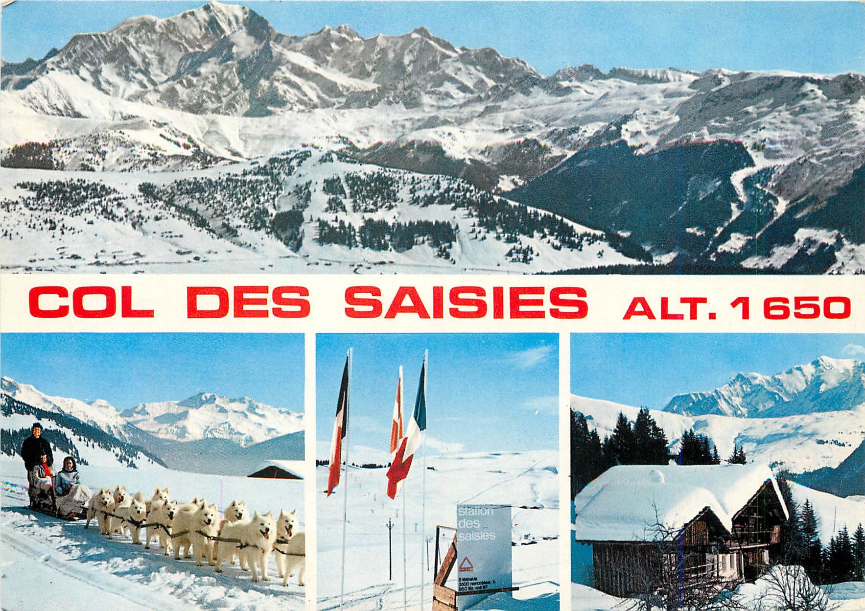 CPM Col des Saisies (Savoie) Alt 1650 m Chiens Husky