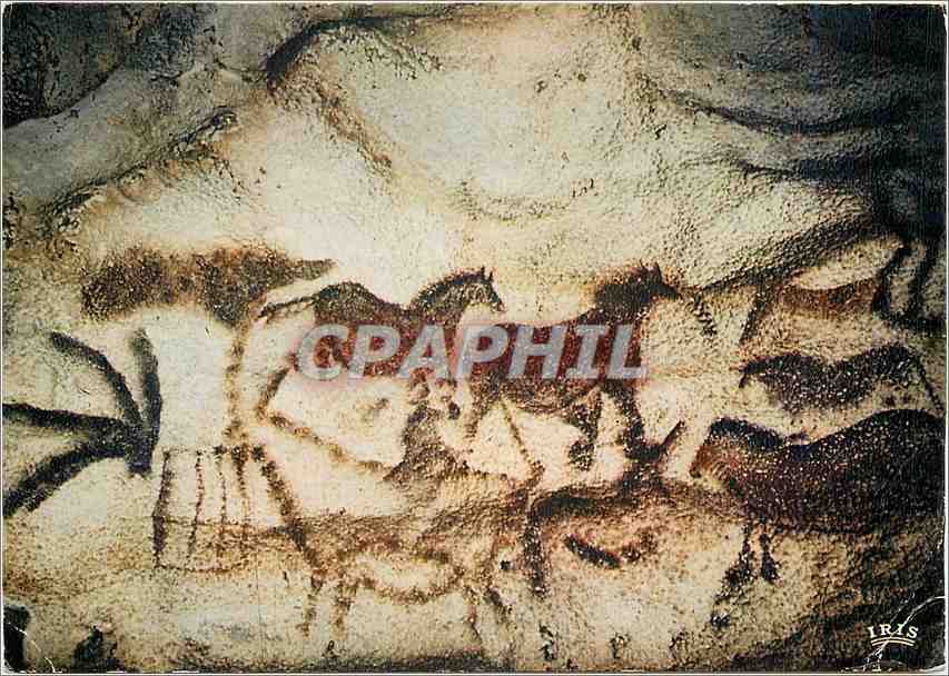 Lascaux-Höhle — Rechte Wand — Prähistorische Kunst — Verlag IRIS
