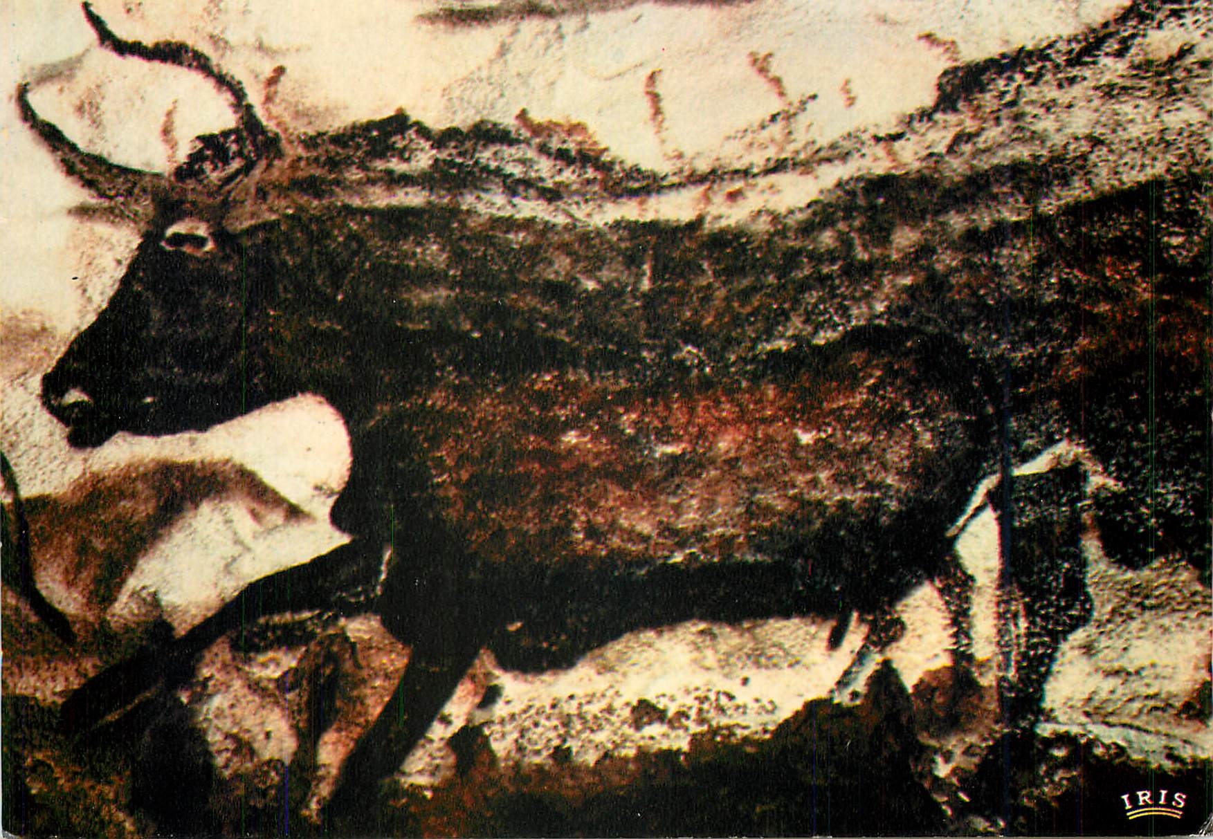 CPM Le Perigord Prehistorique Grotte de Lascaux art prehistorique
