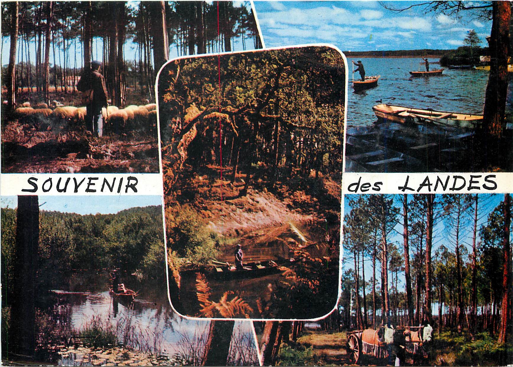 CPM Visages des Landes Troupeau de moutons Embarcadere du Lac de Leon