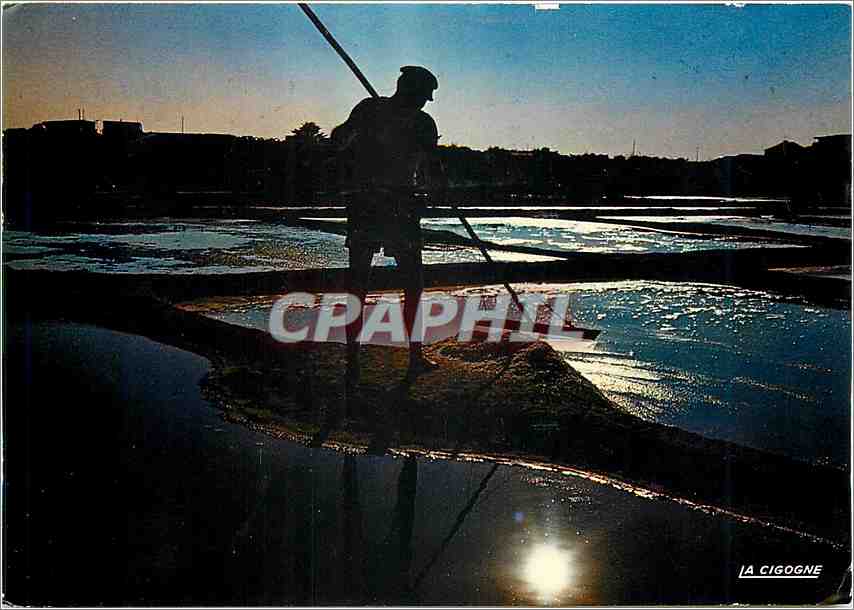 CPM Ile de Noirmoutier Contre jour sur les marais salants