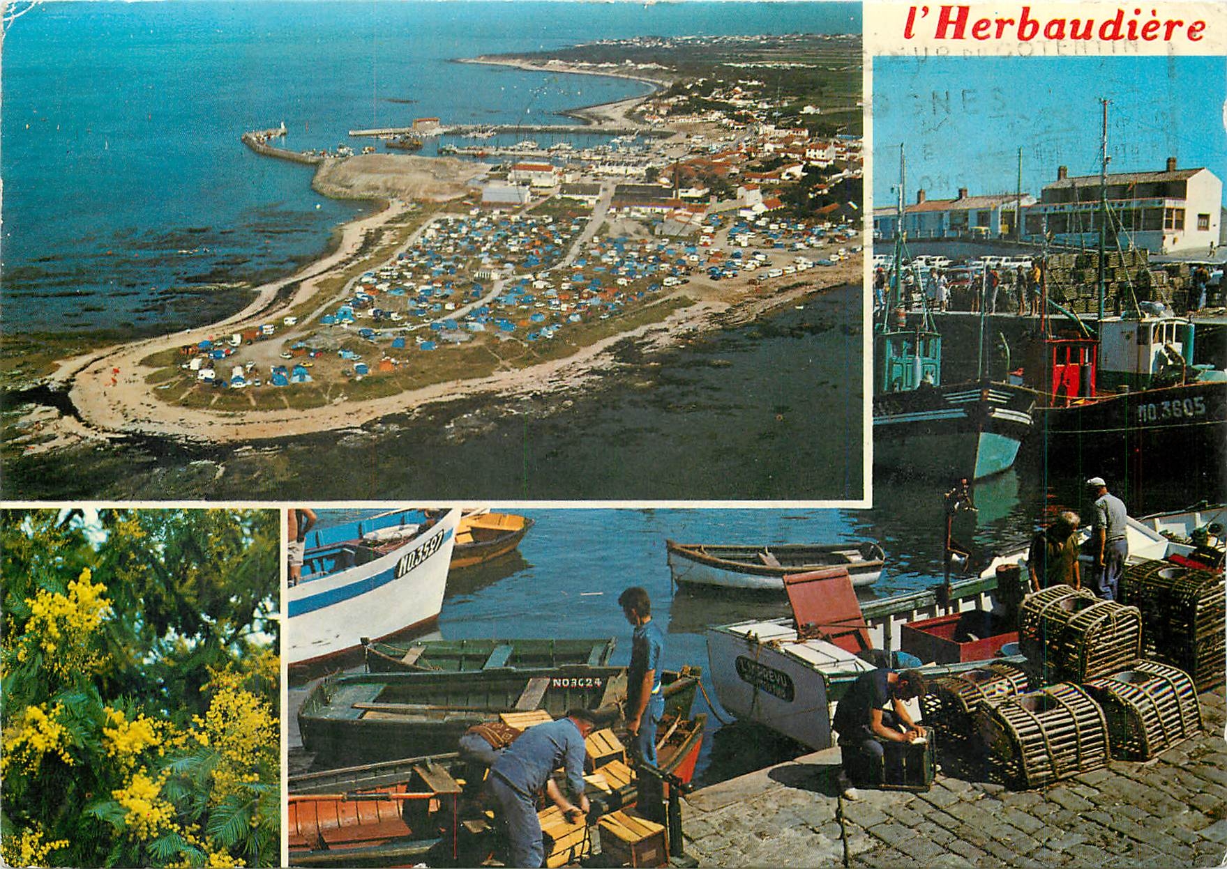 CPM Ile de Noirmoutier L'Herbaudiere La Vendee Touristique