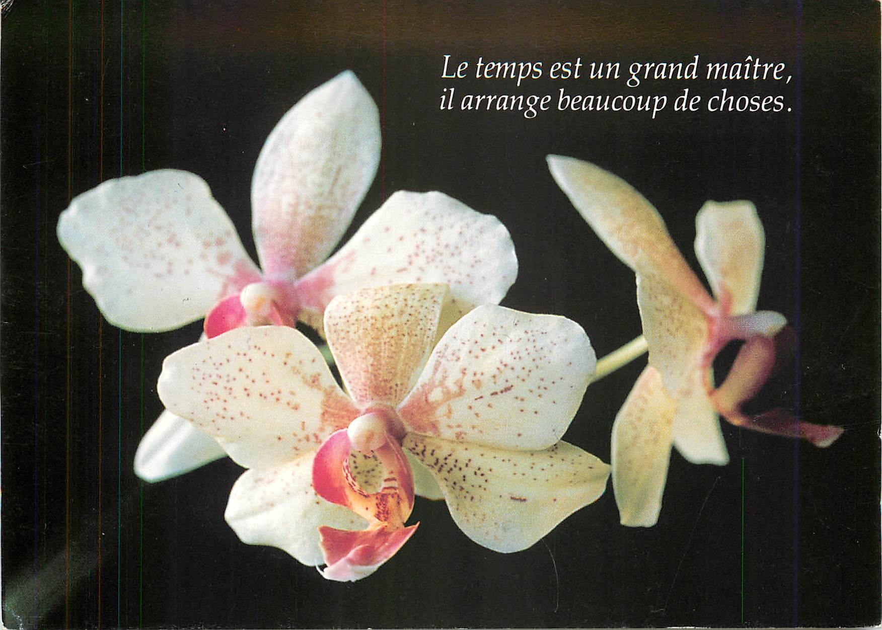 CPM Le temps est un grand maitre il arrange beaucoup de choses