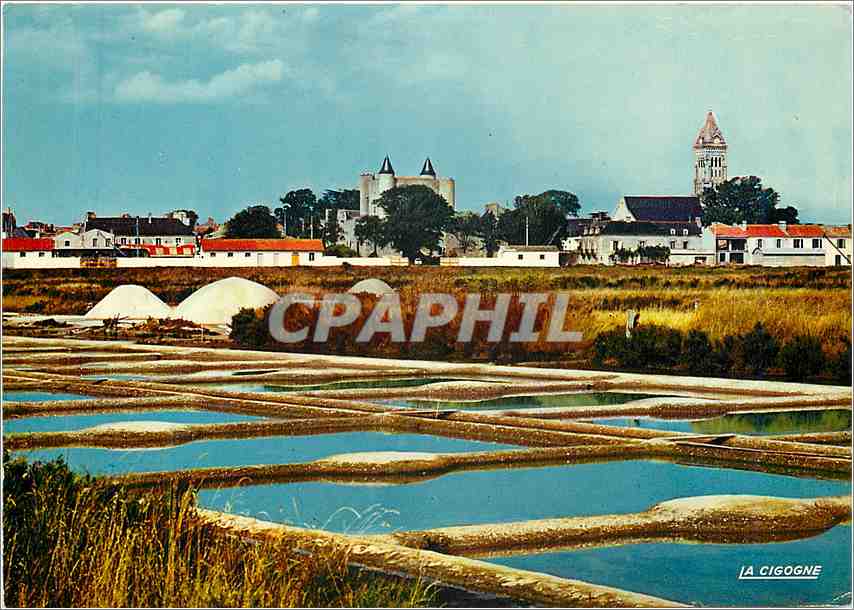 CPM Ile de Noirmoutier les marais salants
