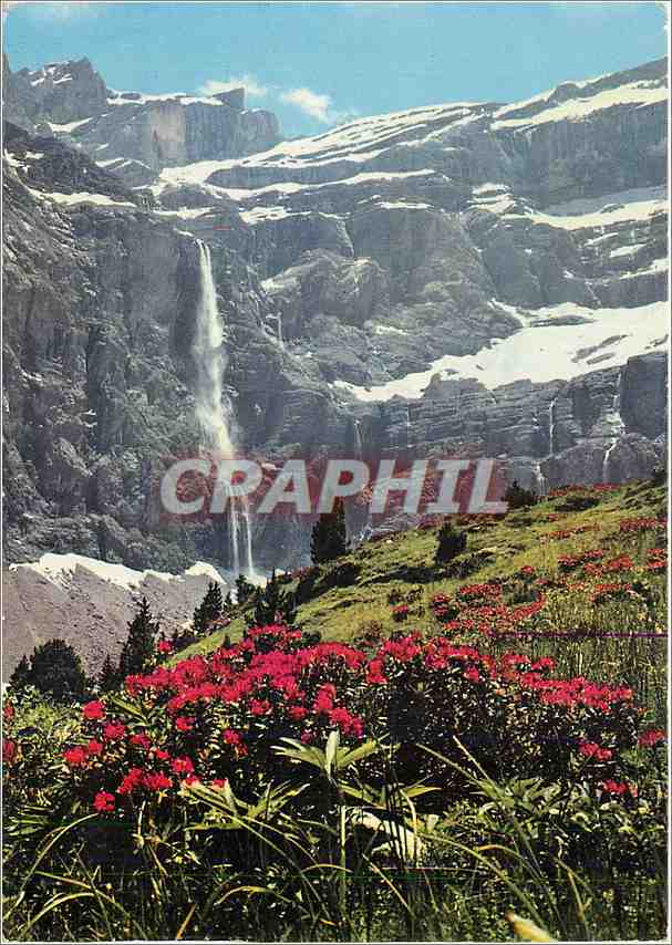 CPM Nos Belles Pyrenees Gavarnie (H P) Rhododendrons et cascade du Cirque