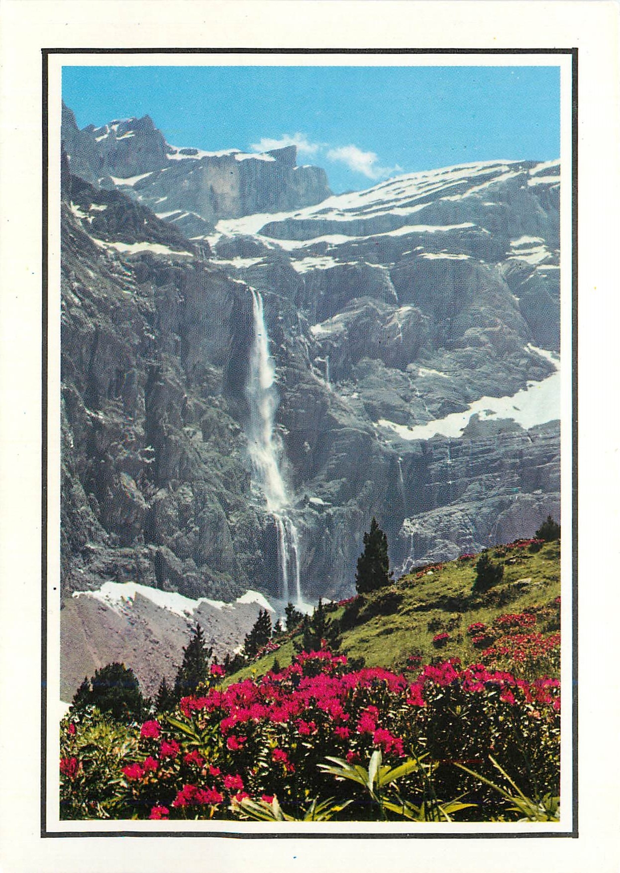 CPM Nos Belles Pyrenees Gavarnie (H P) Rhododendrons et Cascade du Cirque