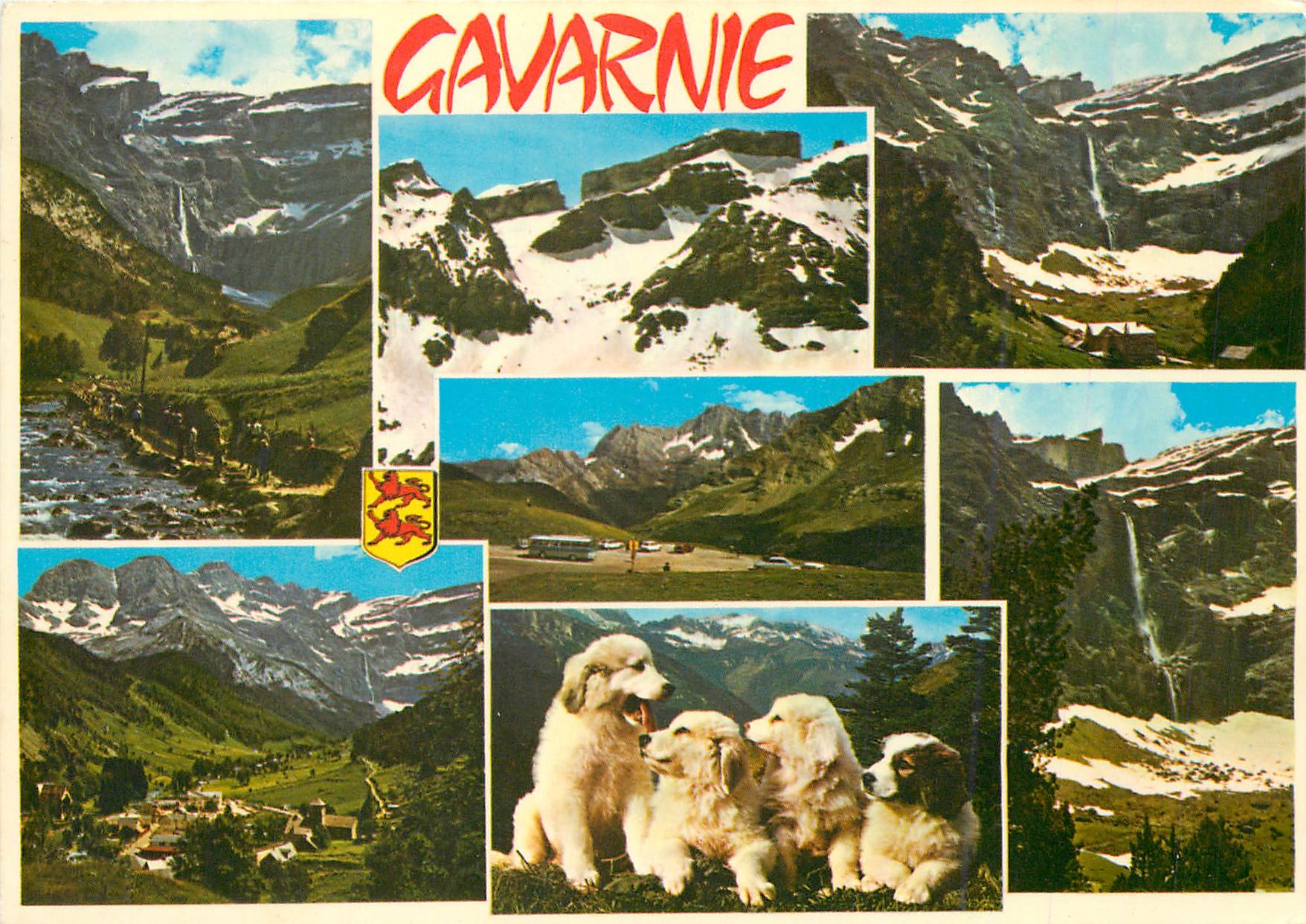 CPM Souvenir de Gavarnie Chiens Chiots