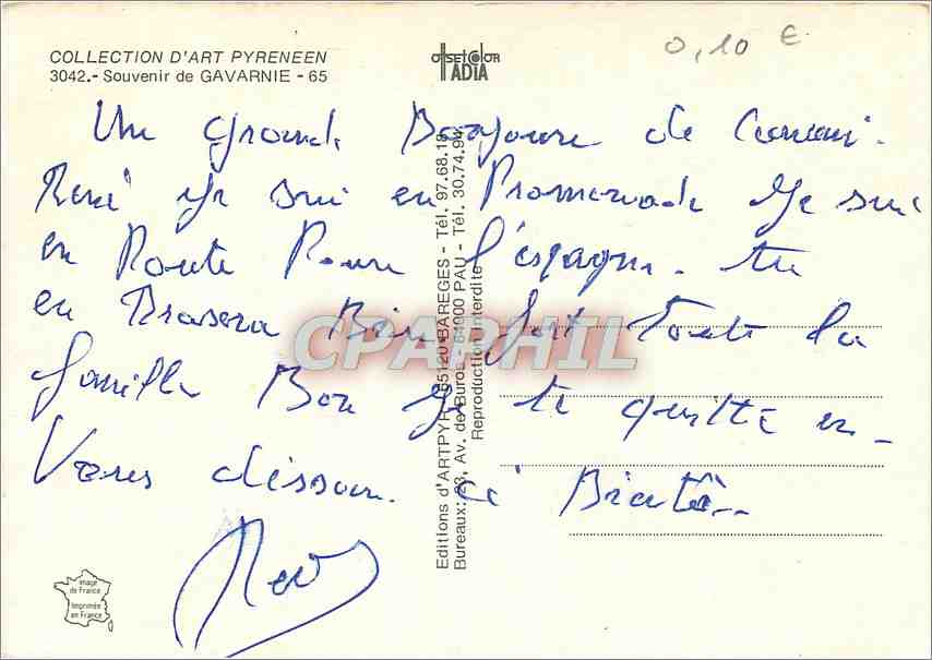 CPM Souvenir de Gavarnie Chiens Chiots — Verso