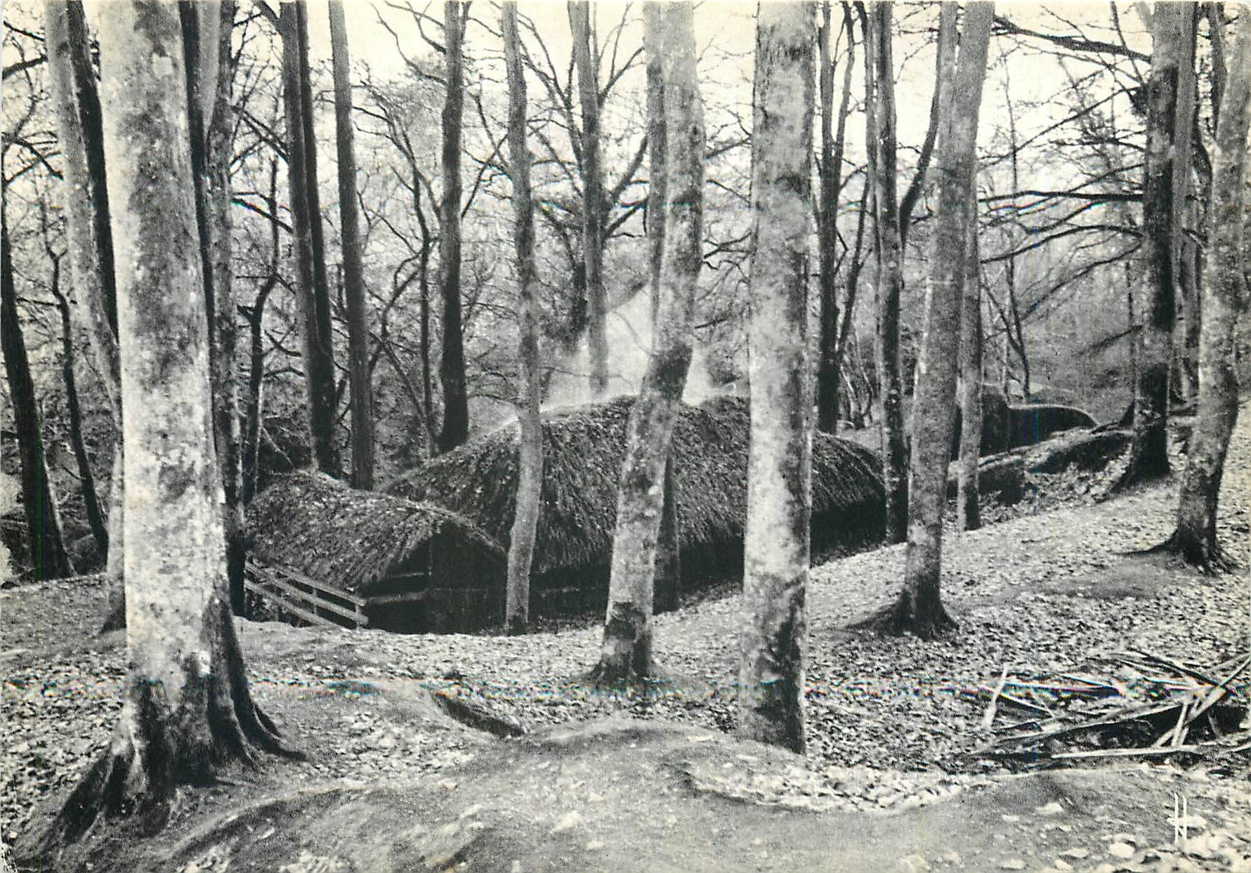 CPM Bretagne Pittoresque La Hutte du Sabotier Foret du Huelgoat