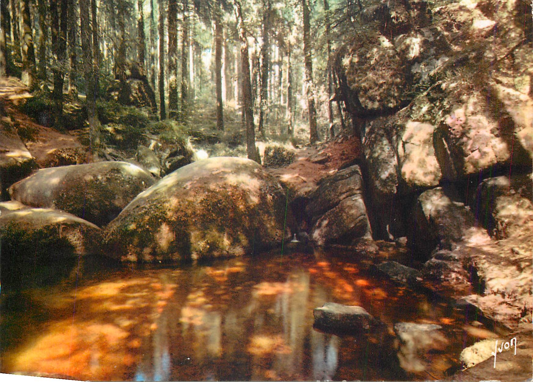 CPM Huelgoat (Finistere) La Mare aux Sangliers