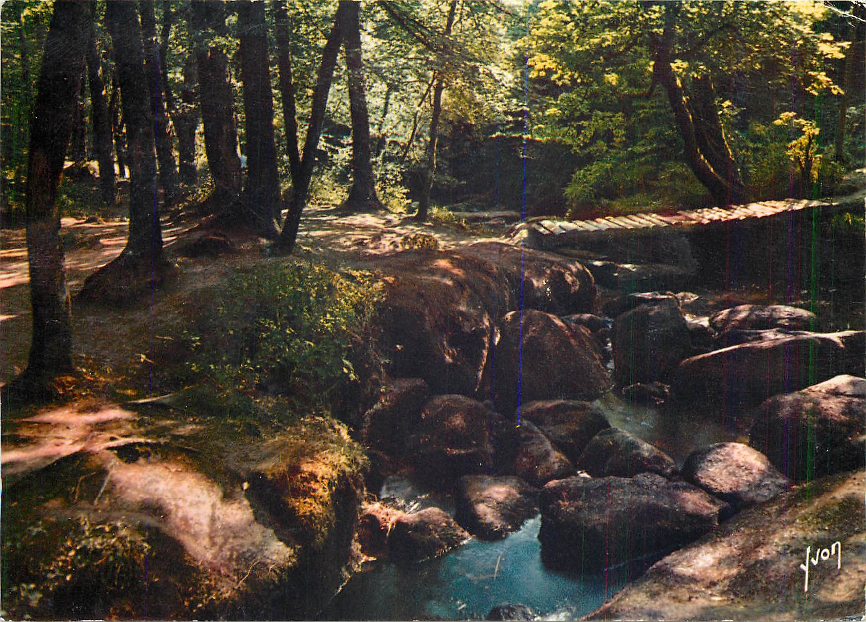 CPM Huelgoat (Finistere) Flanerie dans le sous bois