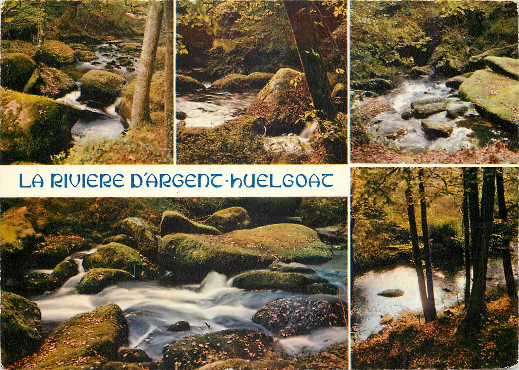 CPM Huelgoat (Finistere) La riviere d'Argent en sous bois