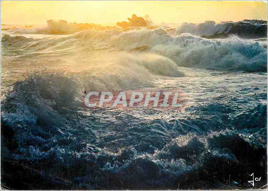 CPM La Bretagne en Couleurs Coup de vent de suro sur la cote bretonne