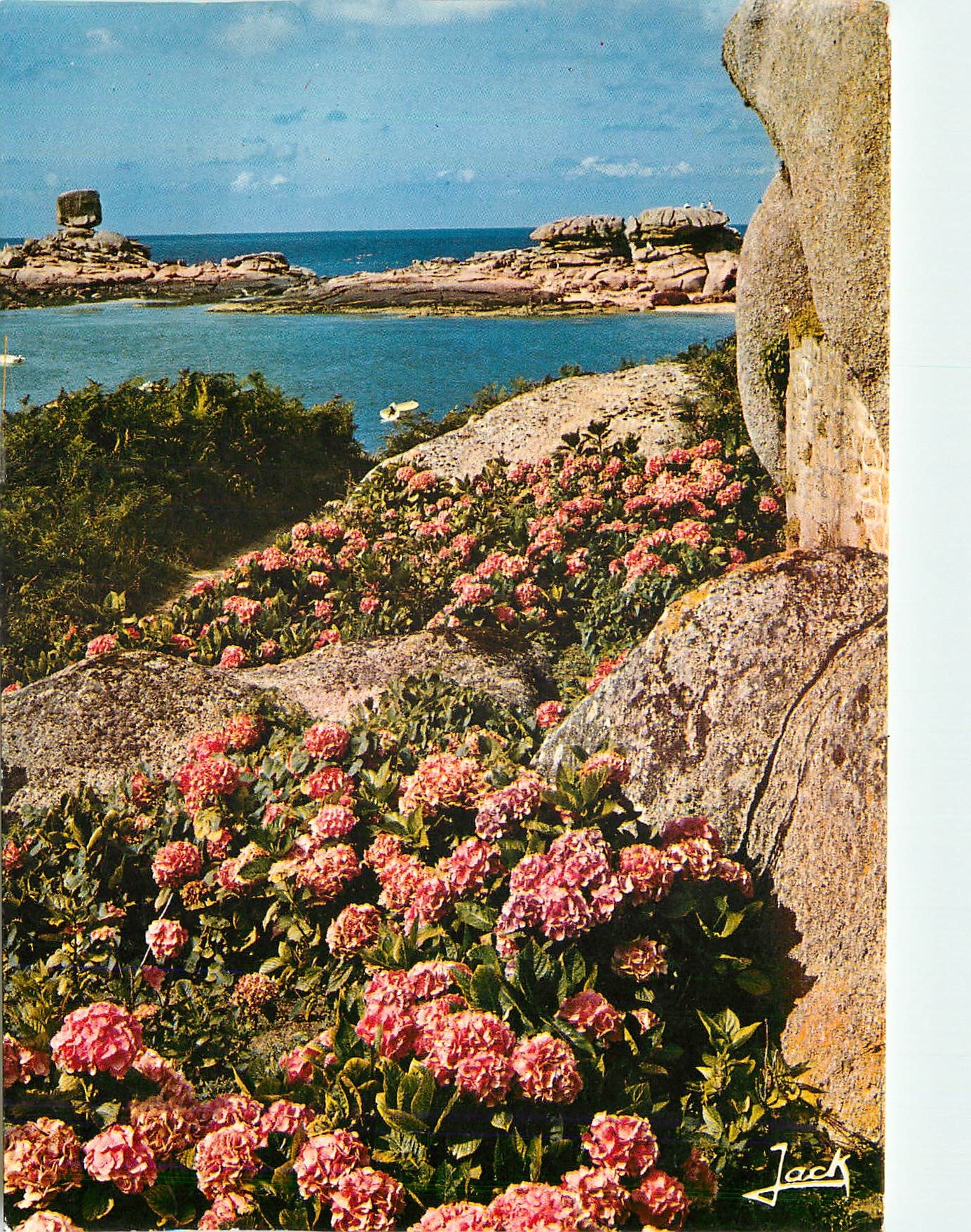 CPM La Cote Granit Rose Tregastel Les rochers le de et les crepes