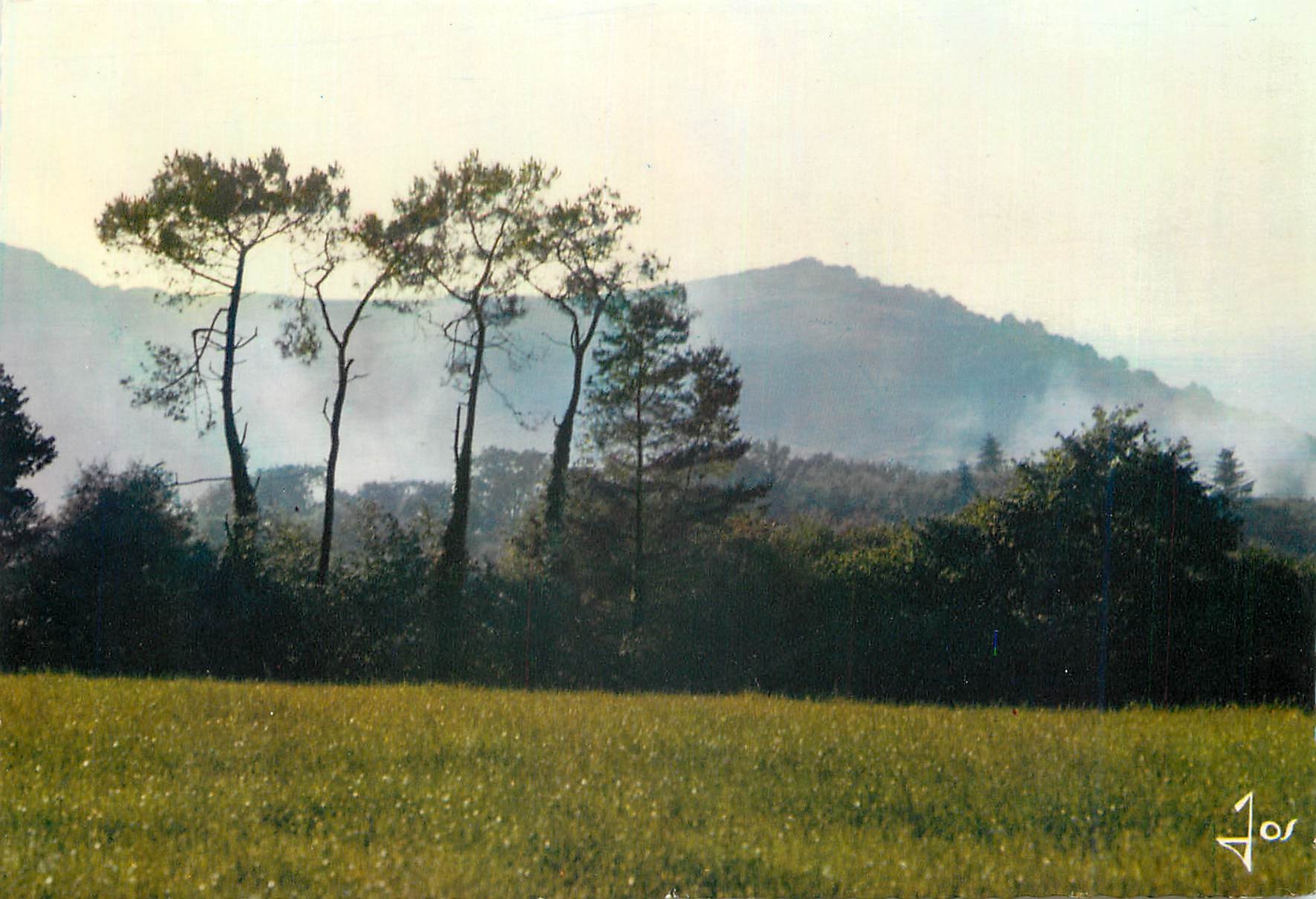 CPM La Bretagne en couelurs les Montagnes Noires Environs de chateauneuf du Faou pres de Lez