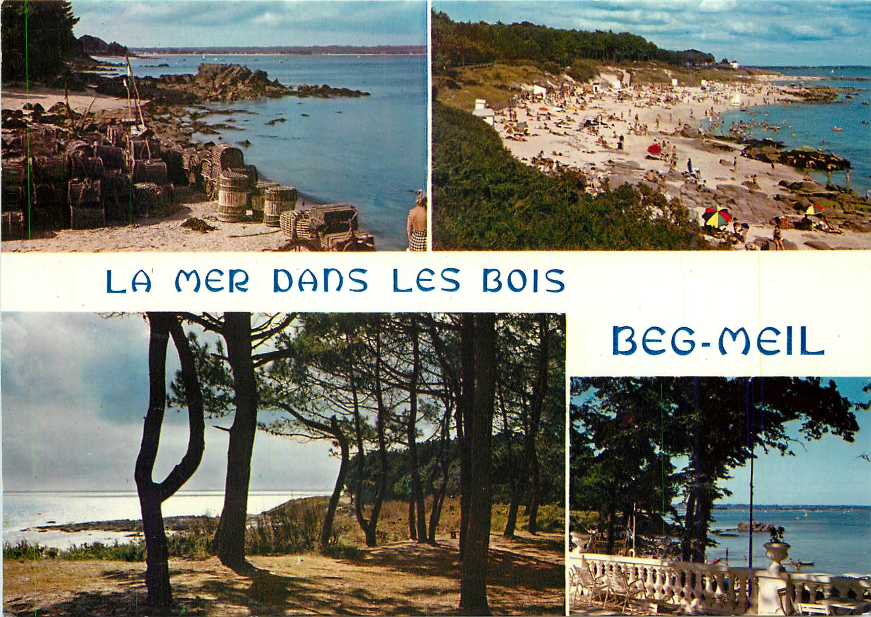 CPM La Bretagne en couleurs Beg Meil (Finistere) La mer dans les bois au port et sur les dunes