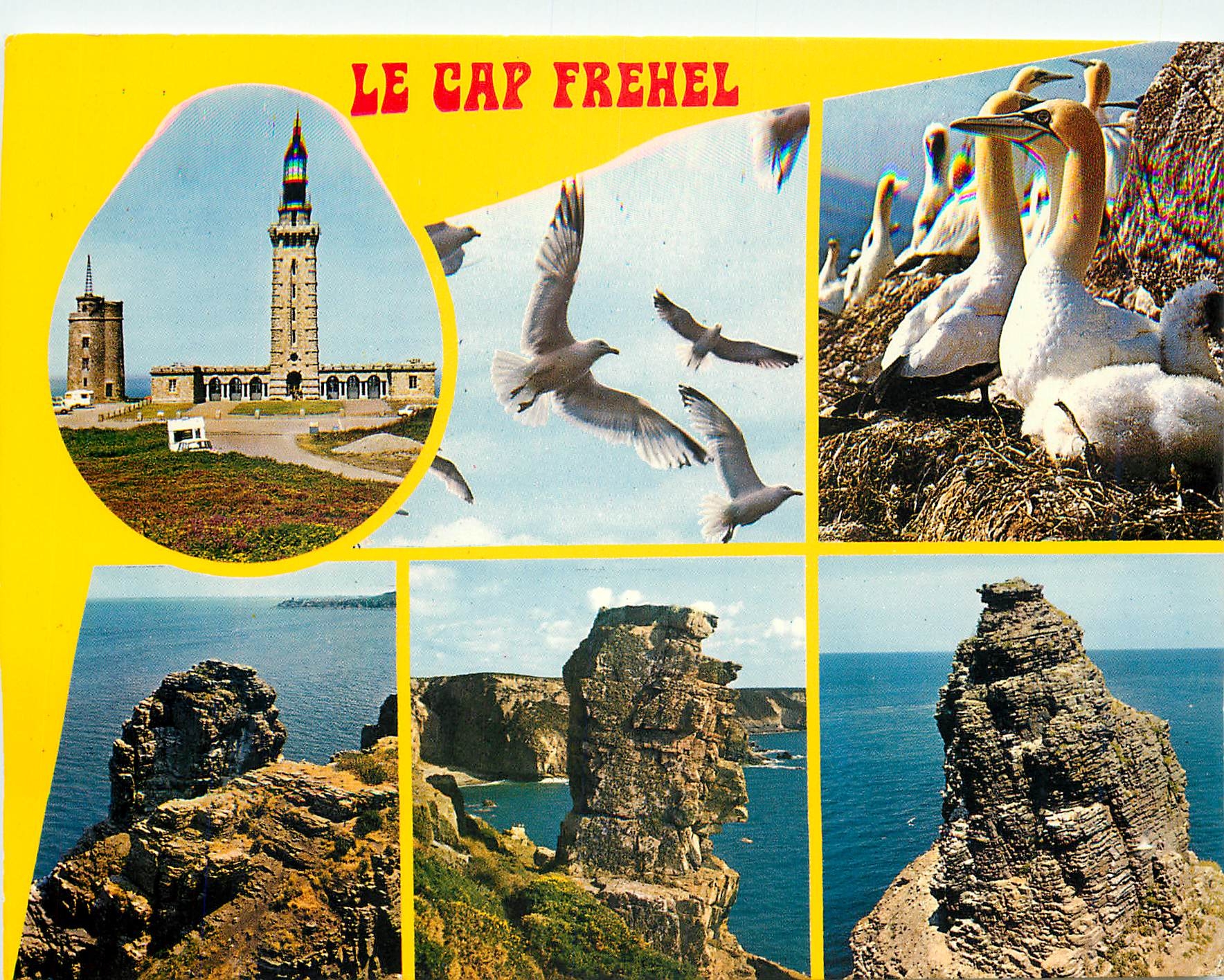 CPM Le Cap Frehel Reserve d'Oiseaux de mer