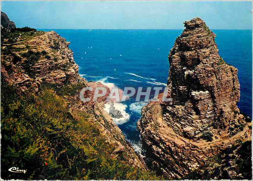CPM Le Cap Frehel (Cote d'Armor) Rochers de la fauconniere dit le Rocher aux Mouettes