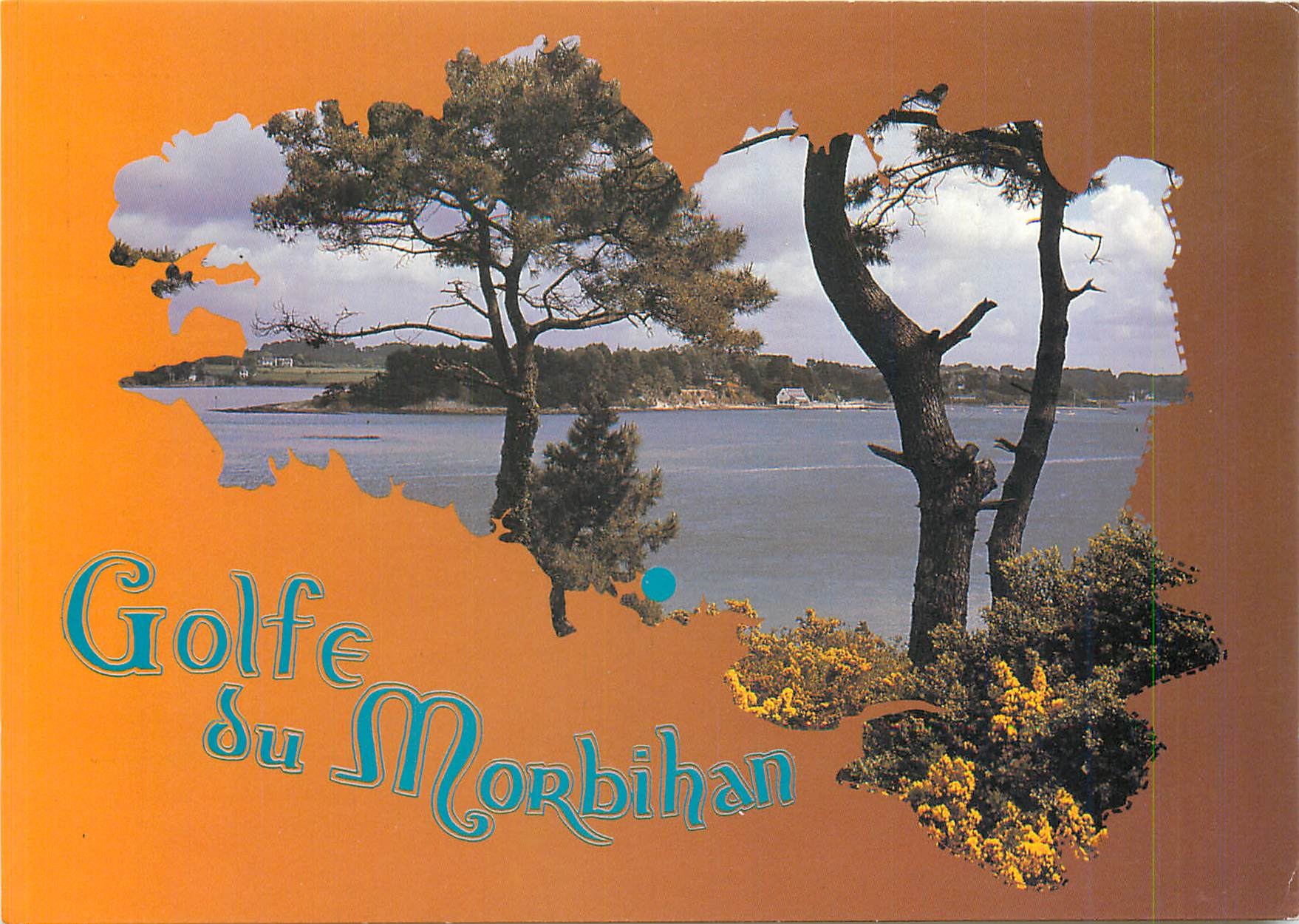 CPM Cartes de Bretagne Golfe du Morbihan Printemps sur l'Ile aux Moines