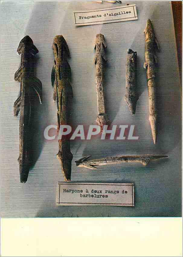 CPM Les Eyzies (Dordogne) Musee de Prehistoire aiguilles et harpons