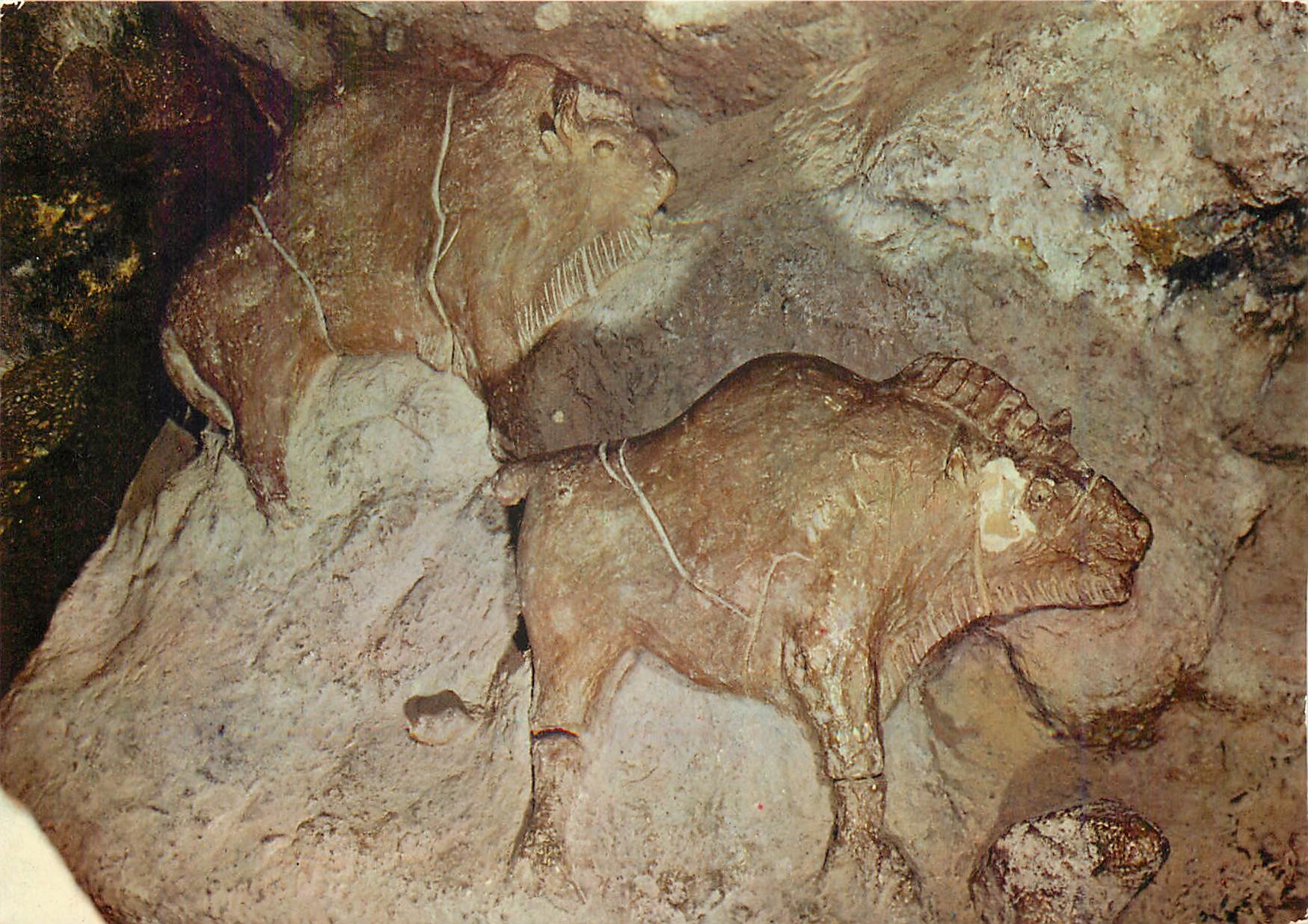 CPM Les Eyzies (Dordogne) Musee de Prehistoire