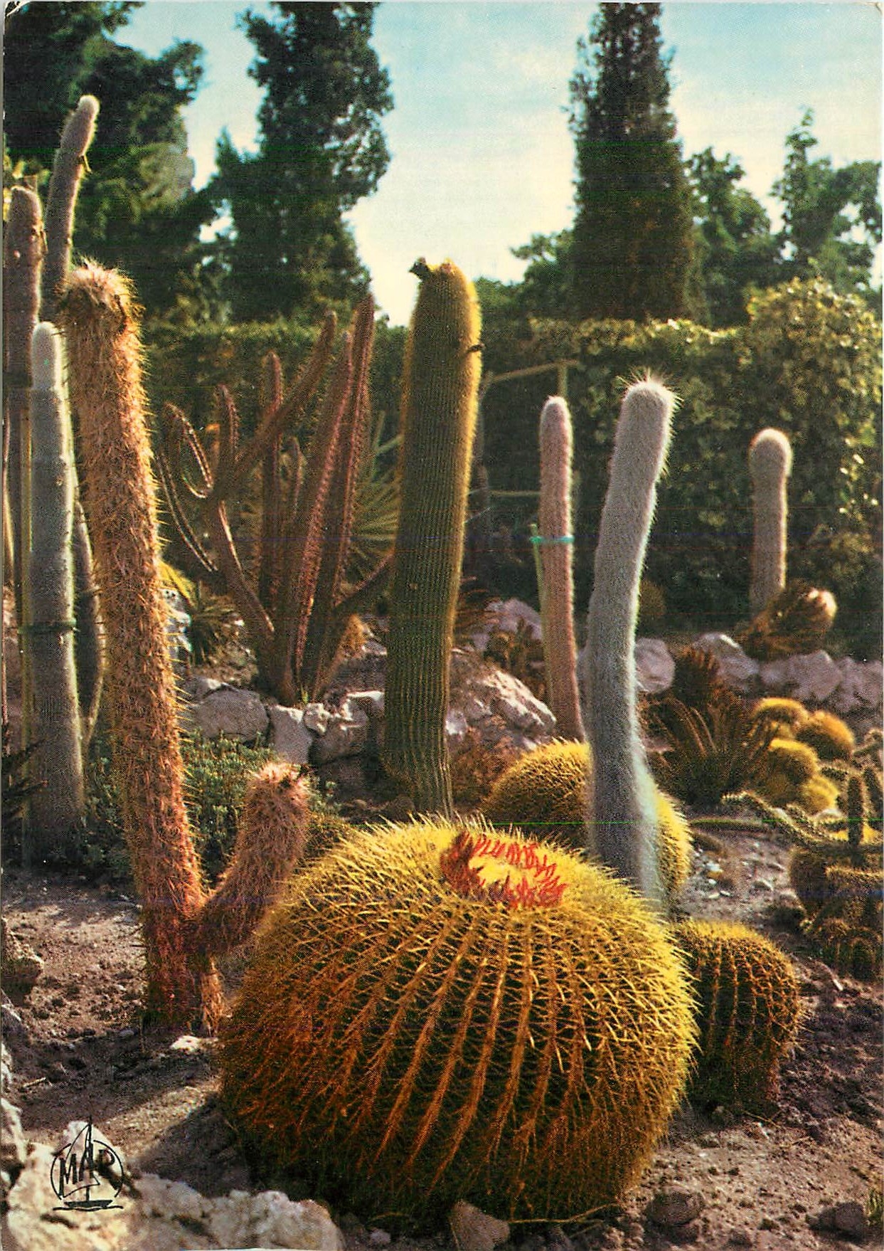 CPM La Cote d'Azur Eze Village Jardin exotique