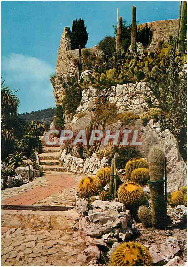 CPM La Cote d'Azur et ses jardins exotiques (Eze village)