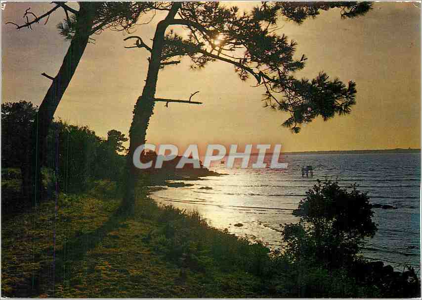 CPM Lumiere de la Cote de Jade St Brevin Coucher de Soleil au Pointeau