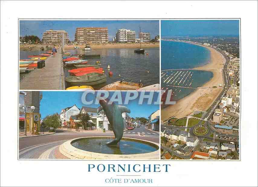CPM La Cote D'Amour Pornichet (Loire Atlantique) Dauphin