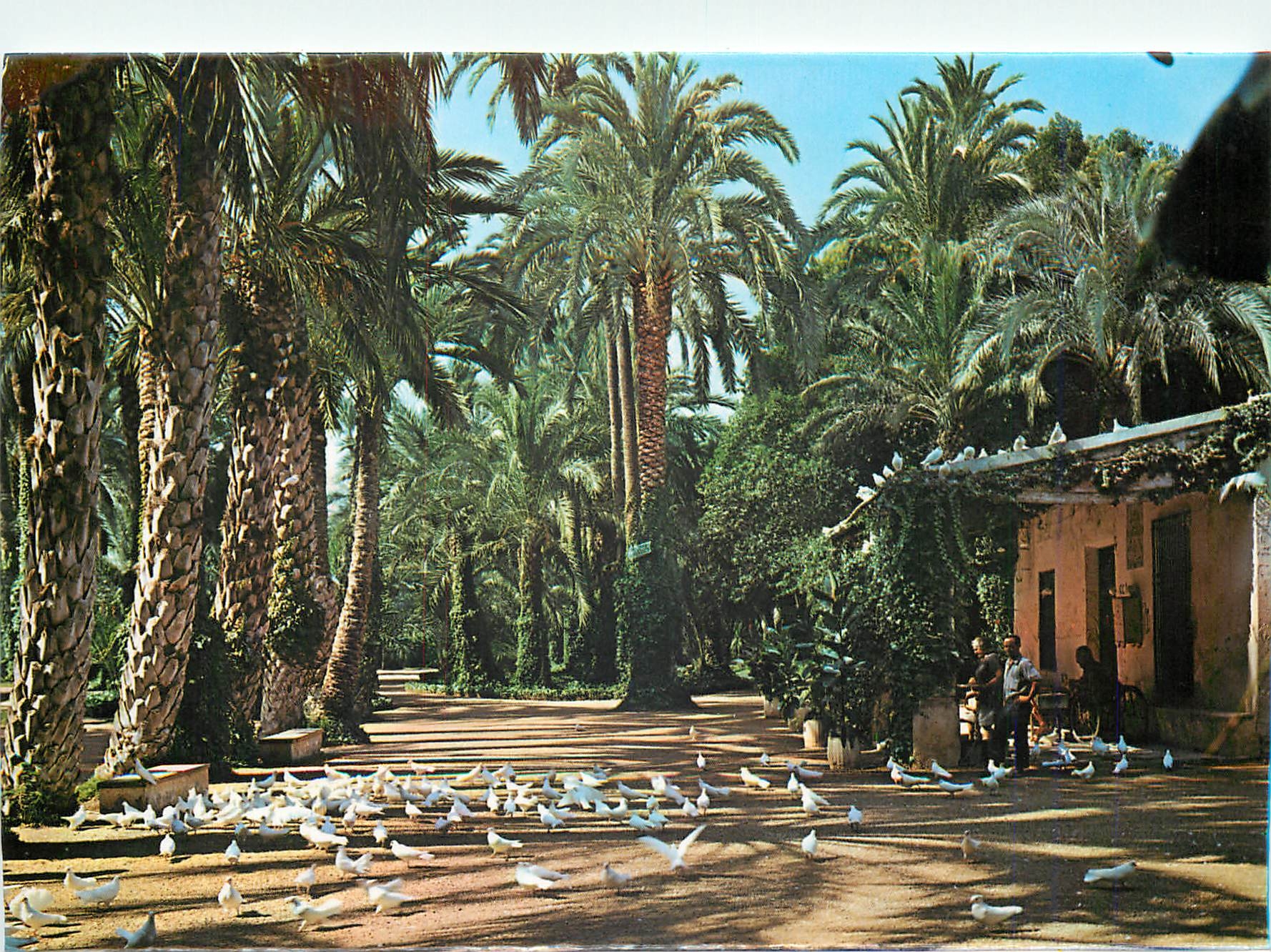CPM Elche Parc Municipal Maison du gardien