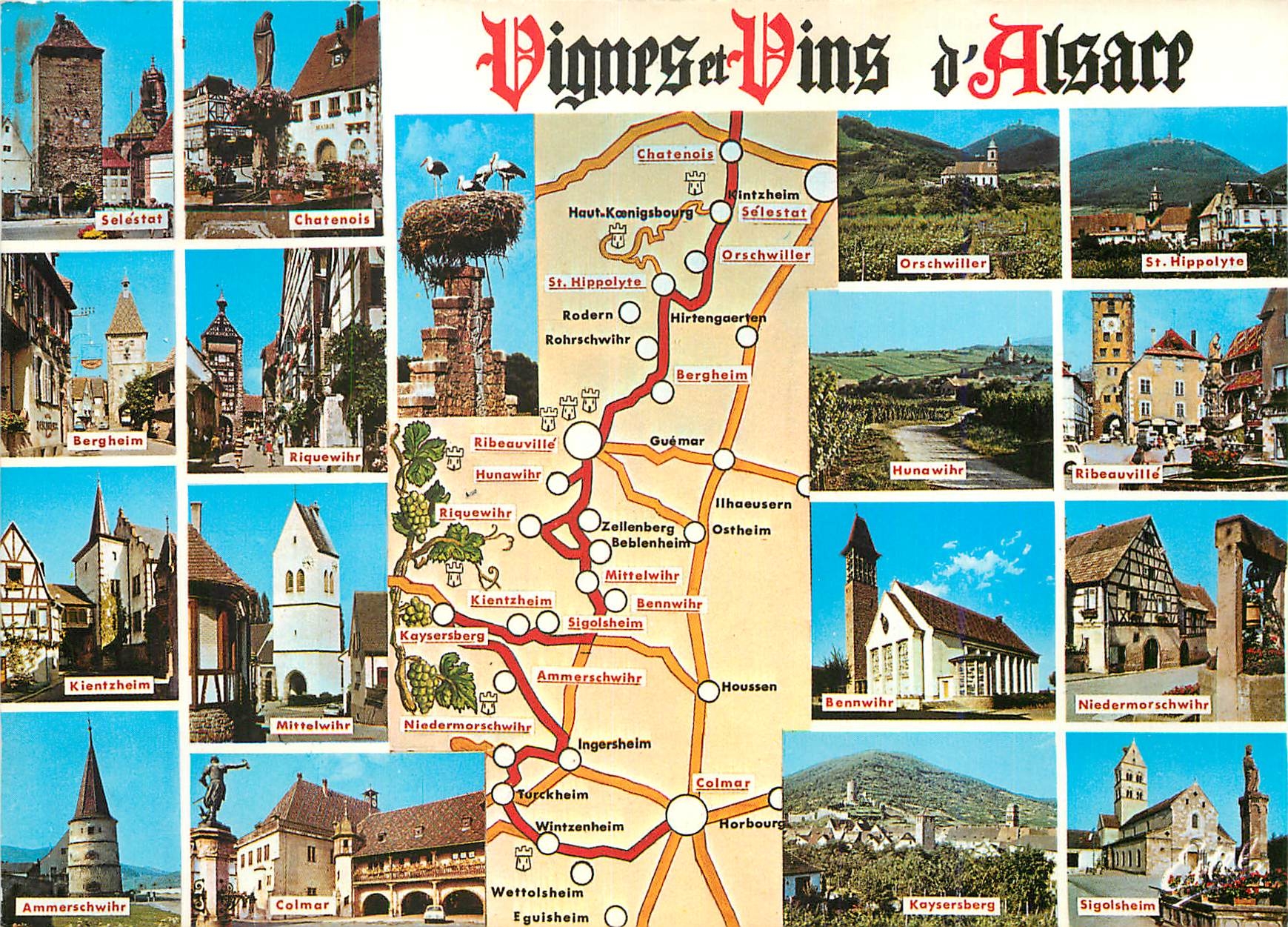 CPM La route des vins de charenois a Colmar