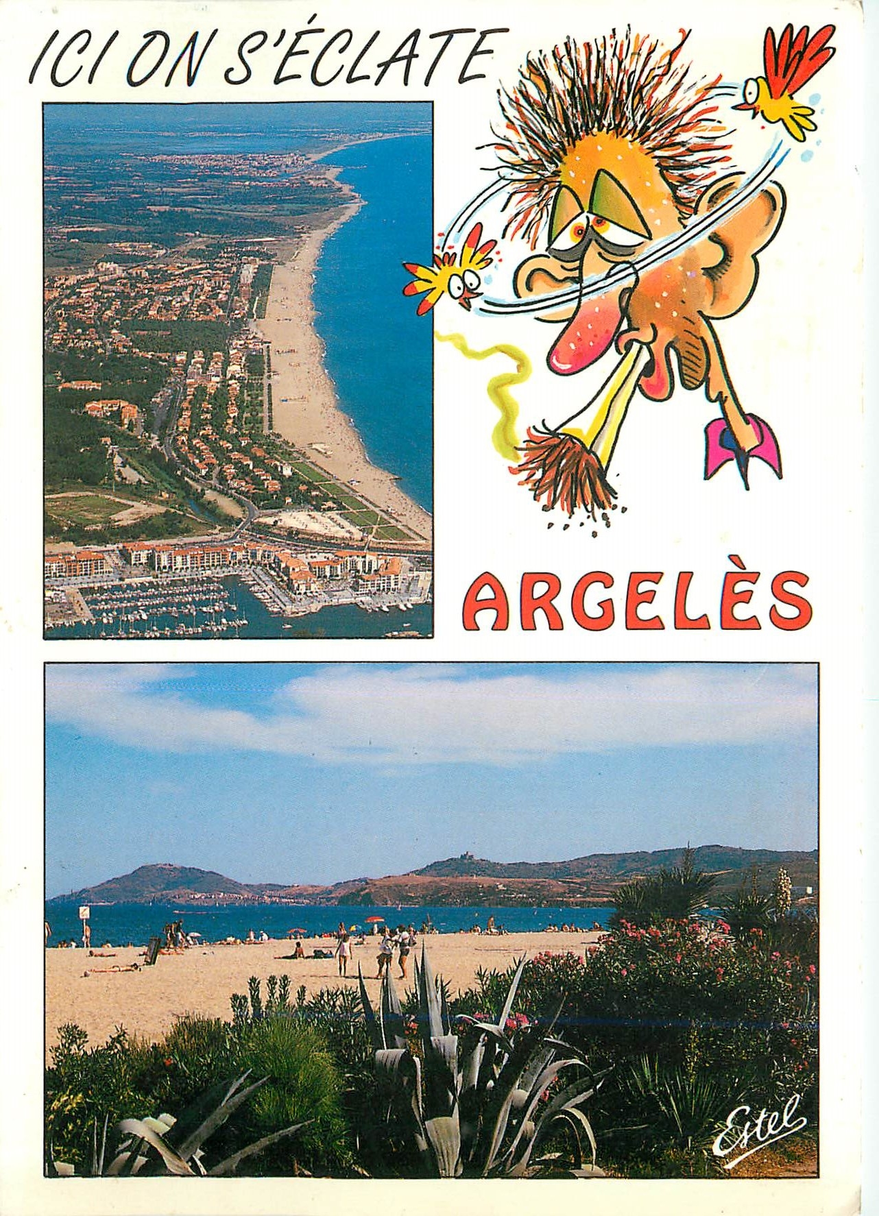 CPM La Cote Vermeille Argeles Plage (Pyr Or)