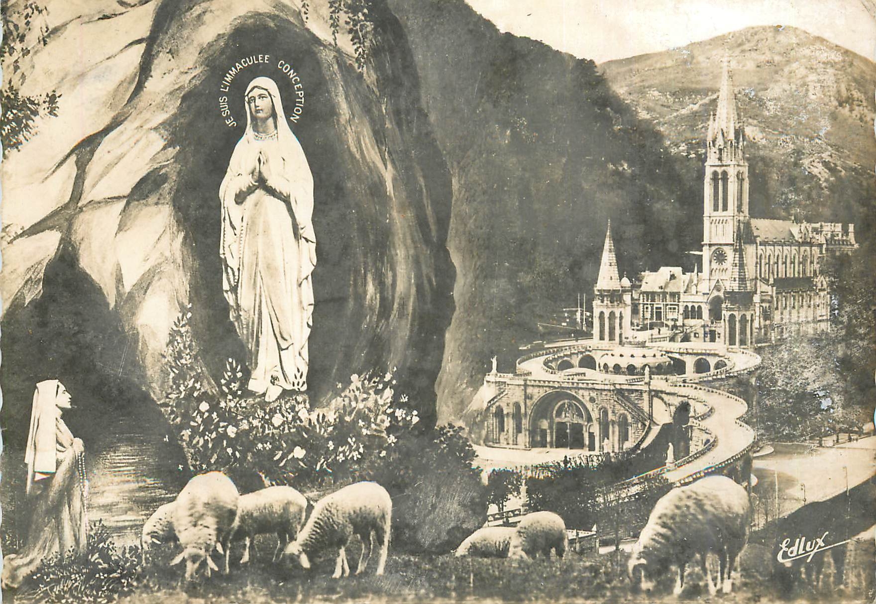 CPM Lourdes La Basilique et L'Apparition