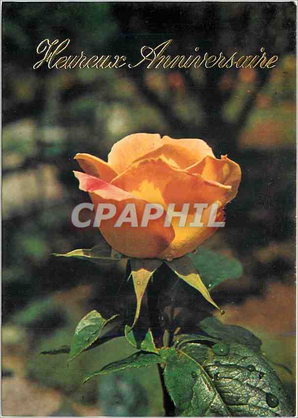 CPM Heureux anniversaire