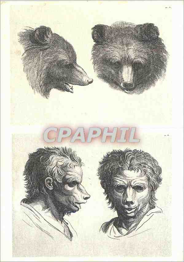 CPM Andre Legrand (Graveur XIXe s) Ours Deux tetes d'ours et deux tetes d'hommes en relation avec l'