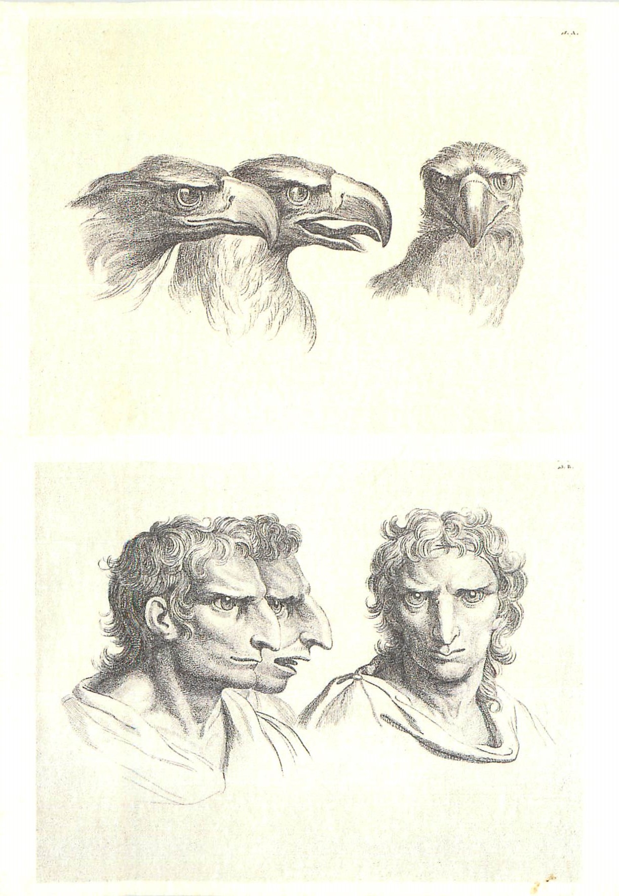 CPM Andre Legrand (Graveur XIXe s) Trois tetes d'aigle et trois tetes d'hommes en relation avec l'ai